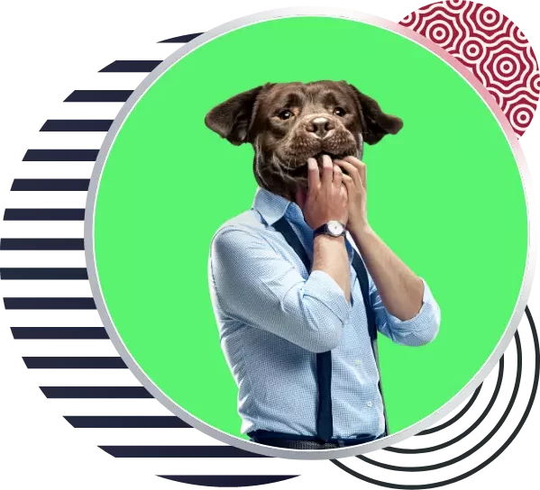 We create memorable brands that people trust