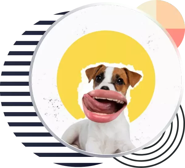 Our Marketing Automation