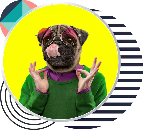 OUR DIGITAL SERVICES