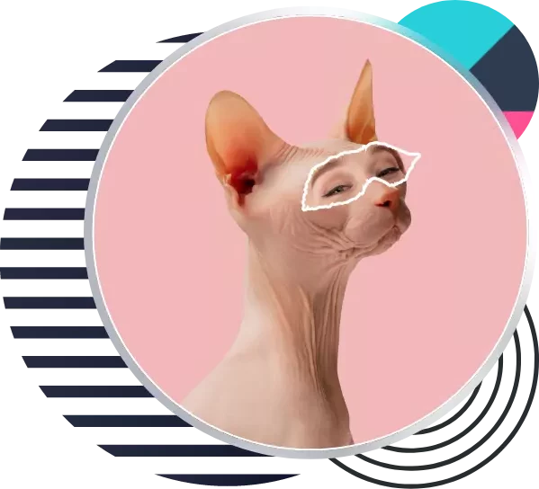 Paid Social Media Advertising Brisbane