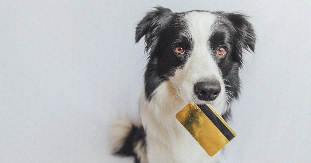 How To Do Ecommerce Marketing