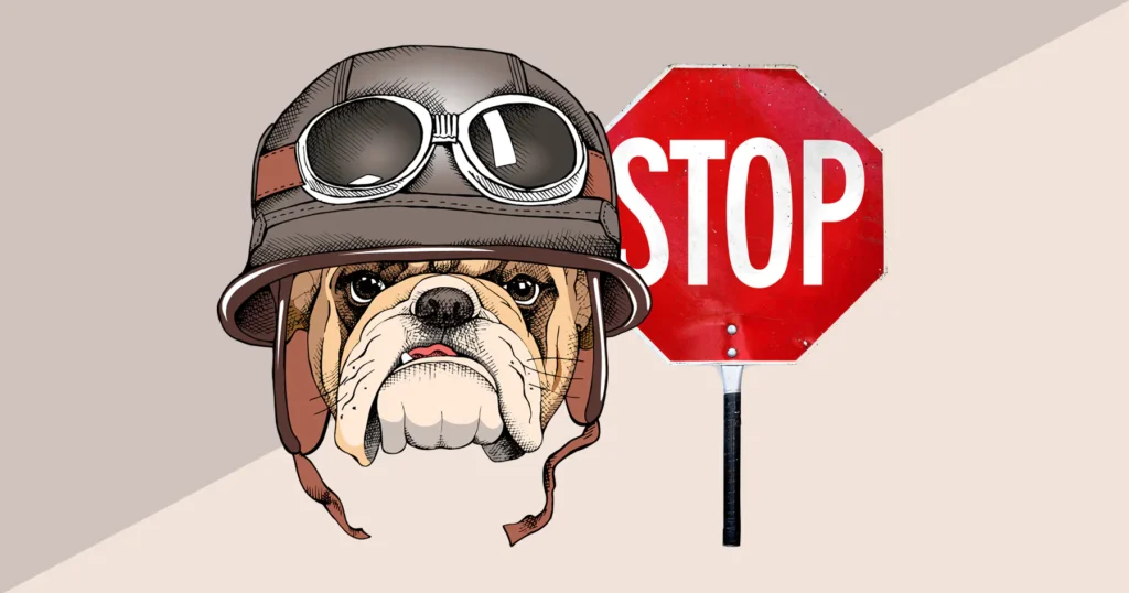 Image Copyright Simplified