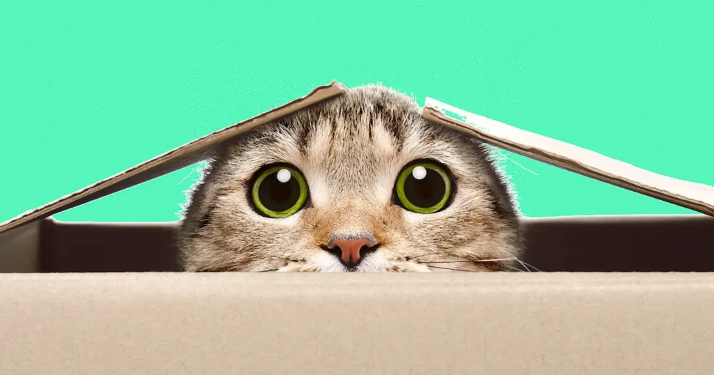 What Is A Marketing Privacy Policy