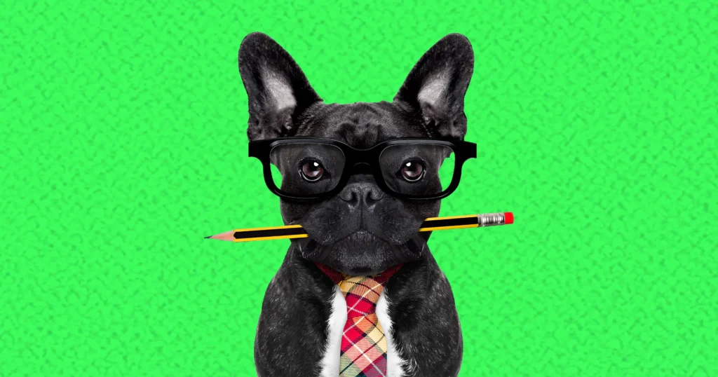 How To Write A One Page Marketing Plan